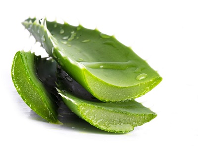 cildi nemlendirmek icin aloe vera kullanimi